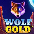 wolf gold slot game